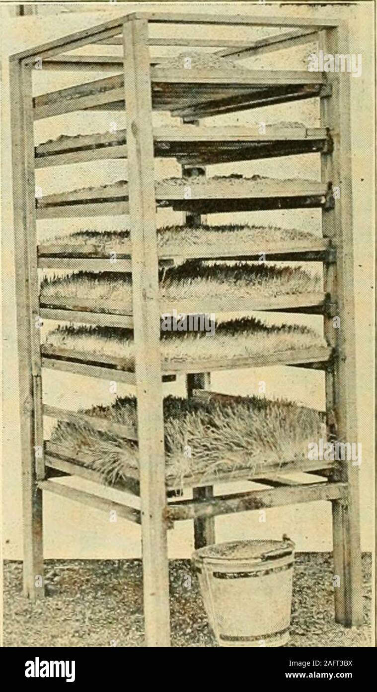 . Poultry houses and fixtures. How to lay out poultry plants g
