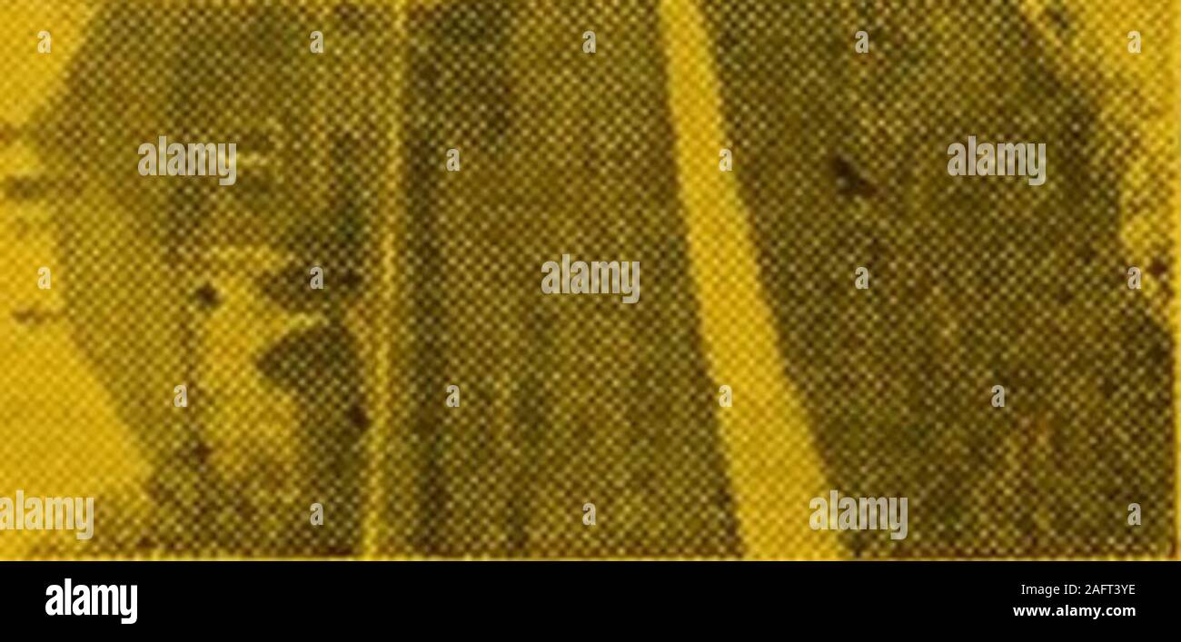 Flo Jo High Resolution Stock Photography And Images Alamy Flo Jo High Resolution Stock Photography And Images Alamy