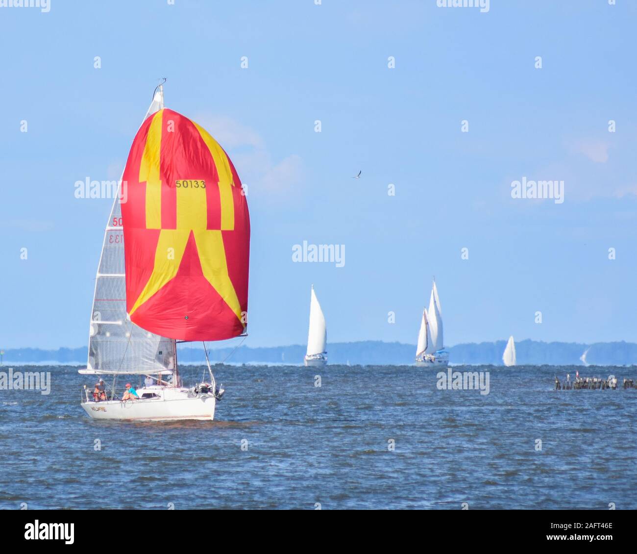 Sailboats on the Chesapeake Bay Stock Photo Alamy