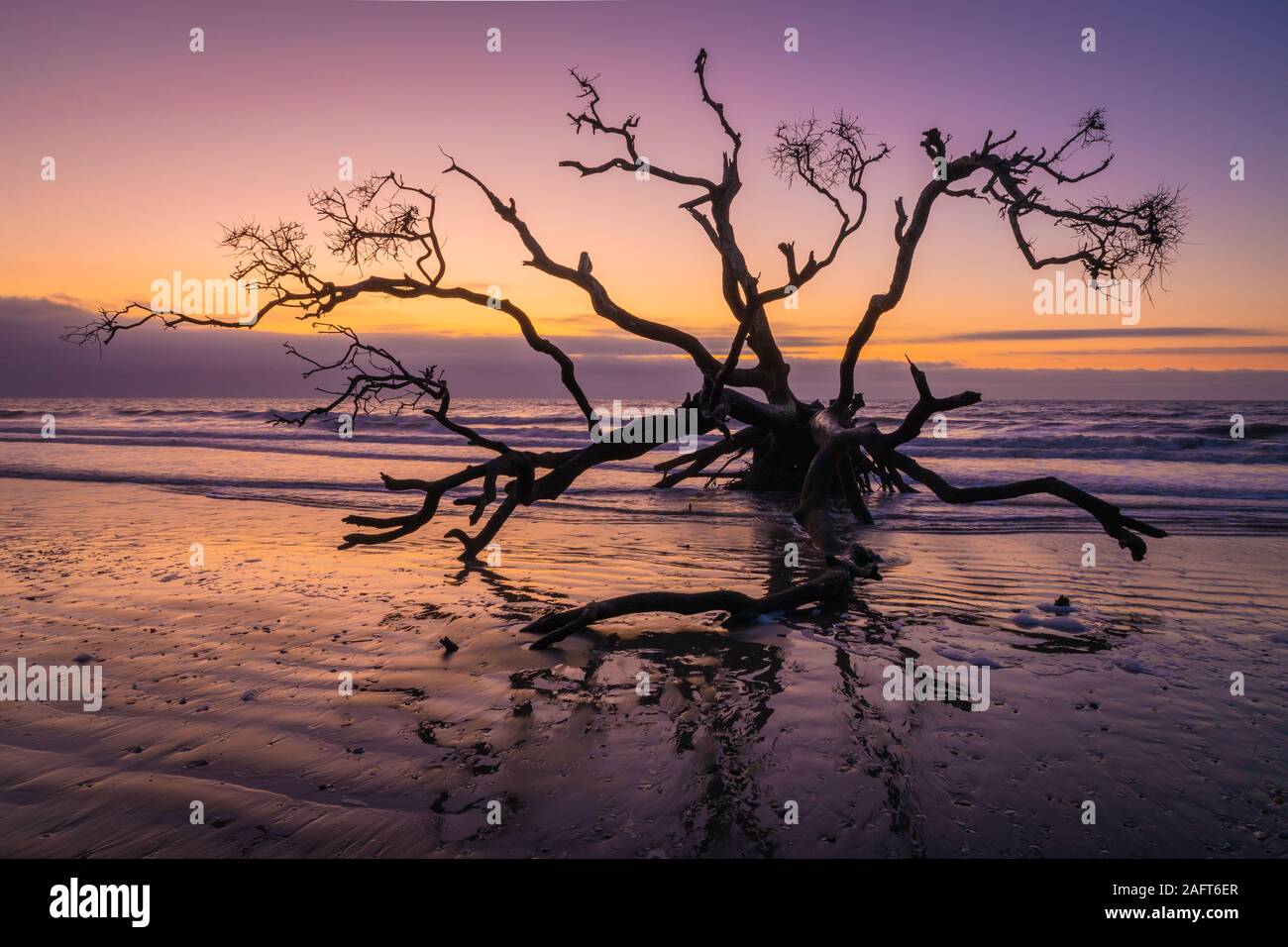 Edisto Island is one of South Carolina's Sea Islands, the larger part