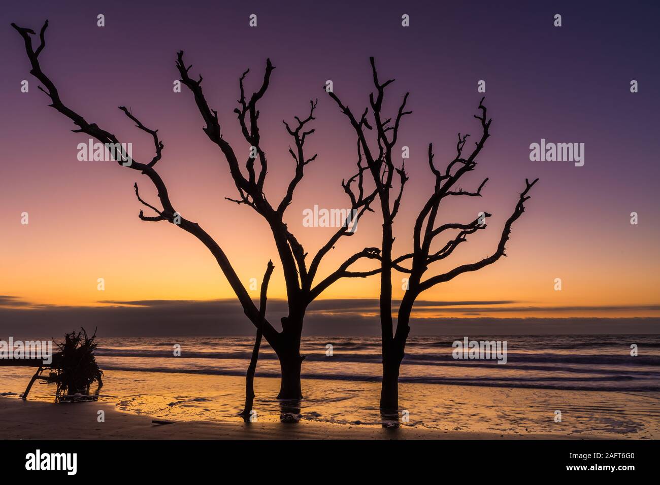Edisto Island is one of South Carolina's Sea Islands, the larger part