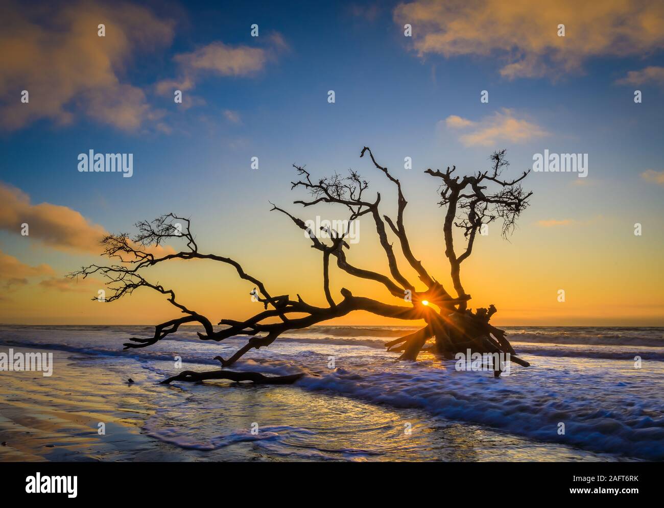 Edisto Island is one of South Carolina's Sea Islands, the larger part