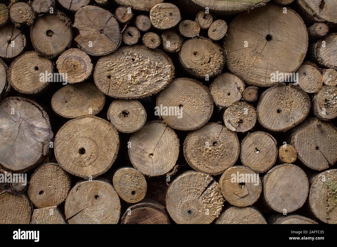 Picture chopped stacked wood hi-res stock photography and images - Alamy
