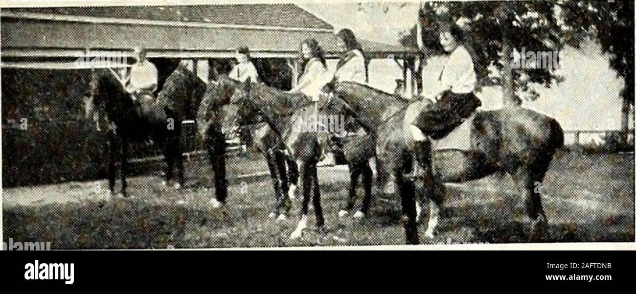 . St. Nicholas [serial]. ST. NICHOLAS CAMP EDITOR353 Fourth Avenue, New