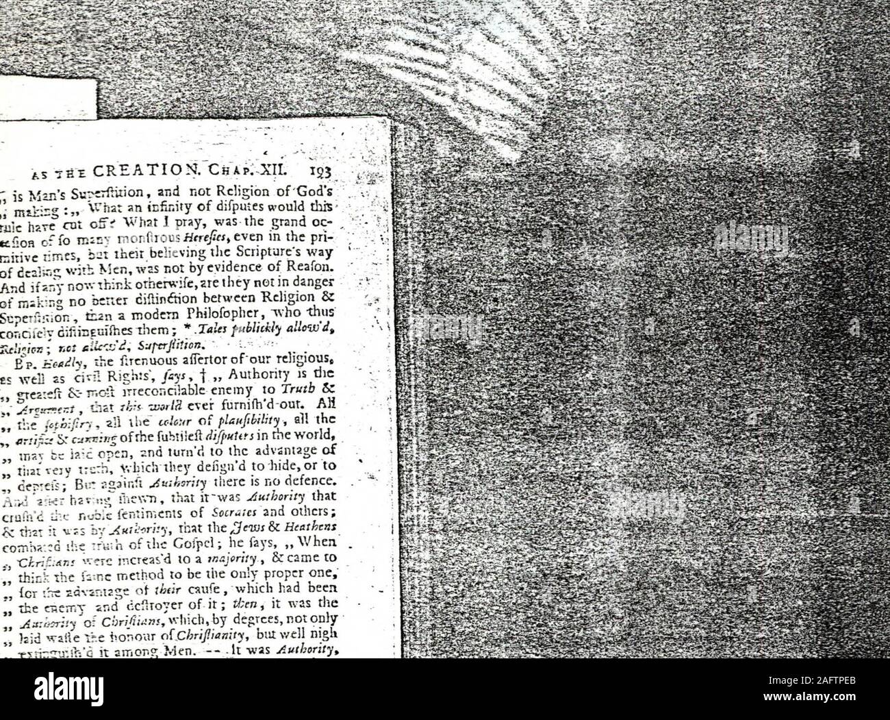 Les Anes Phil Creation