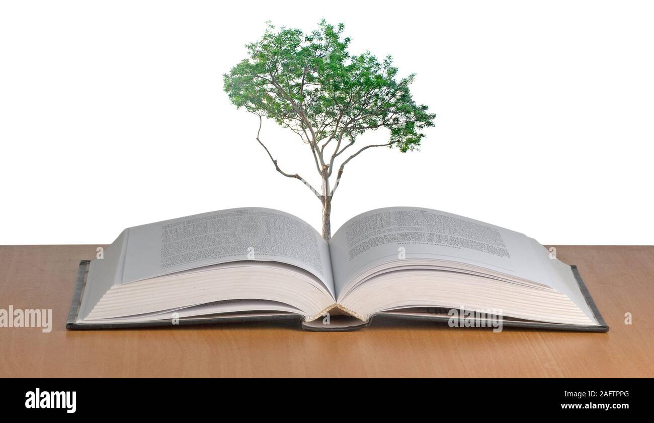 tree growing from book Stock Photo Alamy