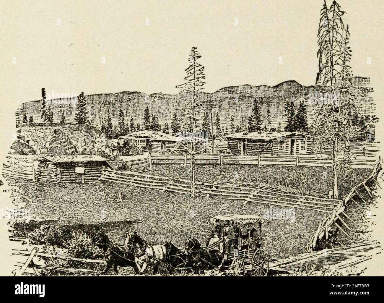 . Shoshone, and other western wonders. orts. In the evening we sat around the fire,and Manley told us of his life. It was very un-eventful, he said, and in winter was most dreary.The storms were frequent and severe, and hewas absolutely cut off from the outside world.In summer the visitors were numerous. Manymade the cabin their head-quarters while onhunting trips about the country, and othersstopped, as we had, for a night. For a living,Manley supplies the Park hotels with meat, eggs,and milk. In the future he hopes a railroad willreach his land and render it worth a tidy for-tune. At present Stock Photo