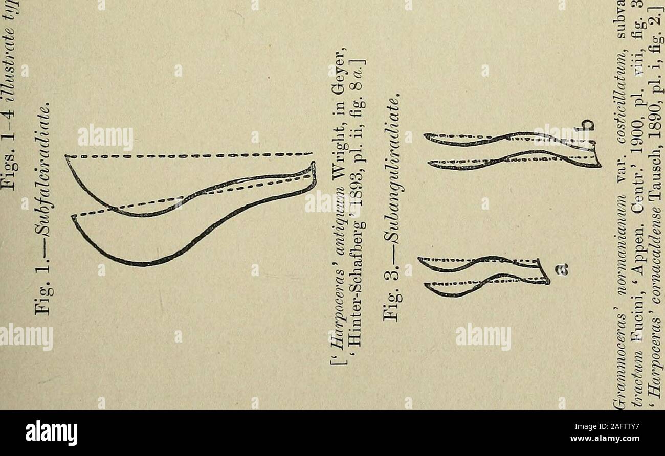 Suture Lines High Resolution Stock Photography and Images - Alamy