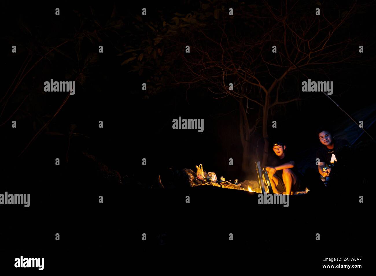 Dark forest with campfire at night Stock Photo - Alamy