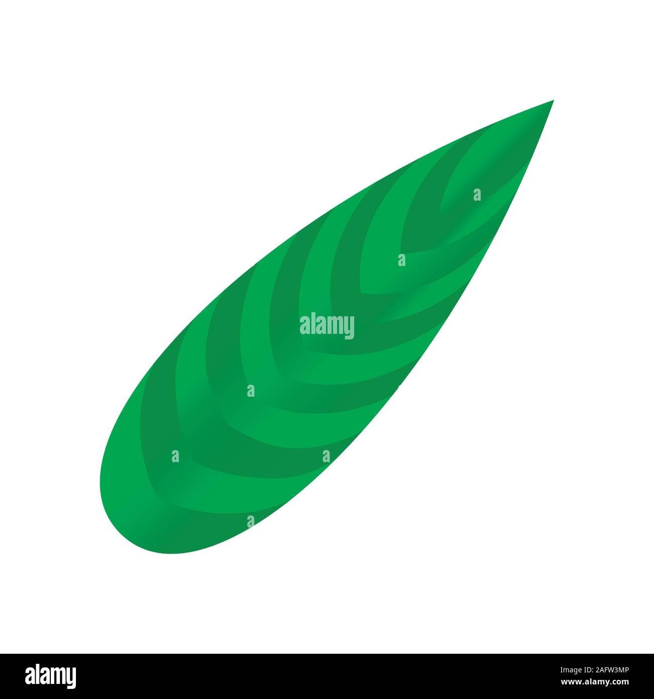 Leaf of tropical plants. Isolated items Stock Vector Image & Art - Alamy