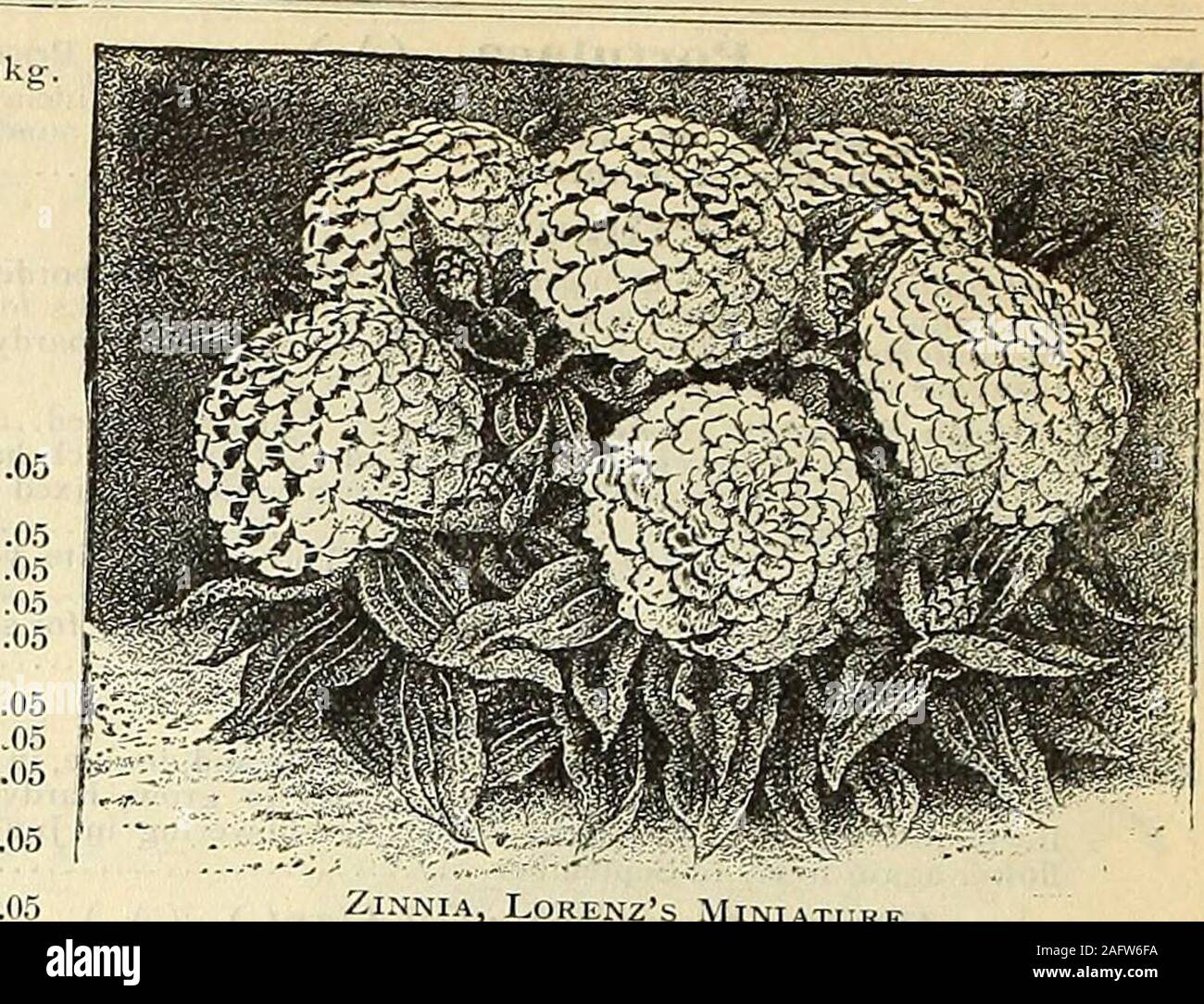 Page 5 - Nf 11 High Resolution Stock Photography and Images - Alamy