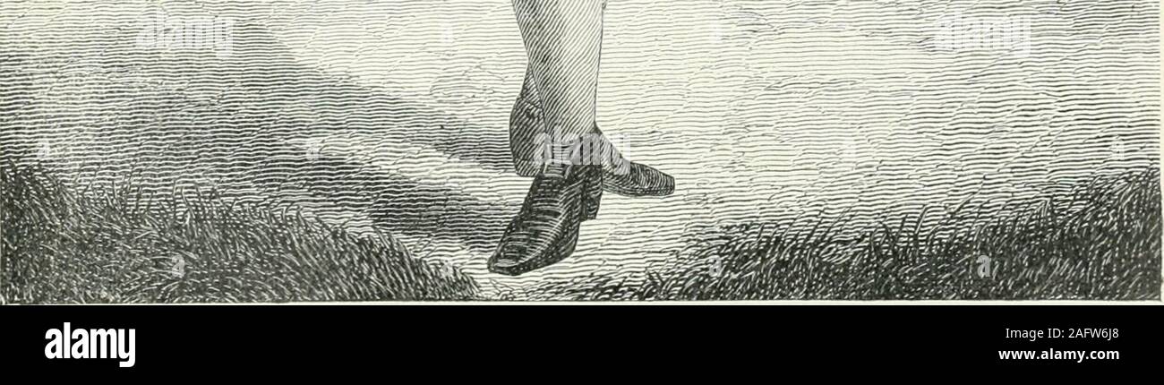 Evett High Resolution Stock Photography And Images Alamy Evett High Resolution Stock Photography And Images Alamy