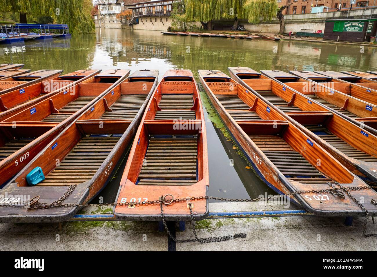 Scudamore’s punts moored on the river Cam in Cambridge Stock Photo