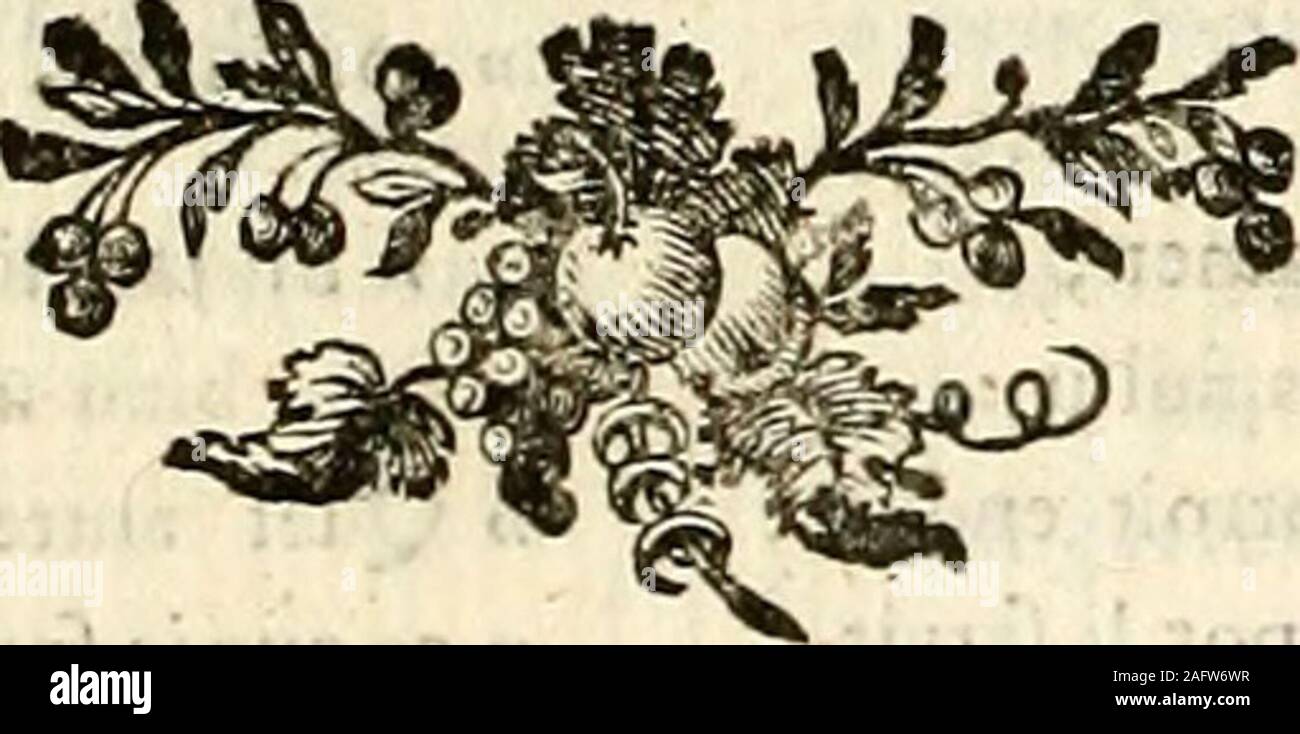 Gratuit Images Beau Dieu Stock Photos Beau Dieu Stock Images Alamy dernière salutations