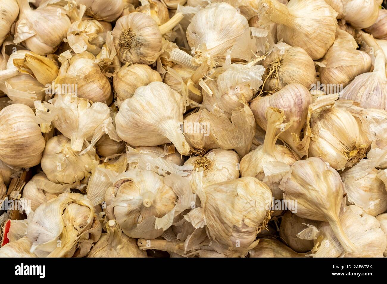 Jerusalem, ISRAEL / 16 DEC 2019:: Fresh garlic for sale in Jerusalem's Machane Yehuda outdoor market. Stock Photo