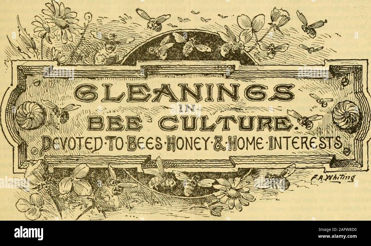 . Gleanings in bee culture. ^o^ ^- Z^^^-.. Vol. XII. FEB. 1, 1884. No. 3. TERMS: $1.00 Per Annum, IN ADVANCE;! 1? n+^ 1^1-: nt, n ^ -inn 1 Q7 Q f Clubs to different postoffices, NOT LESS2 Copies for $1.90; 3 for $2.75; 5 for 84.00; JliSv(XiOiliOllt/(li l/Vb ±0 t O . than90cts^ each. Sent postpaid, in the lOor more, 75 cts. each. Single Number, I J U. S. and Canadas. To all other eouii- 5 ots. Additions to clubs mty be mad4  published semi-monthly by .  ^^^^^ ^f the Universal Postal Union, 18c at club rates. Above are all to be sent » y V&gt;C(rx TV 117 Tk TAT A rXJJi I rerye«r extra. T Stock Photo
