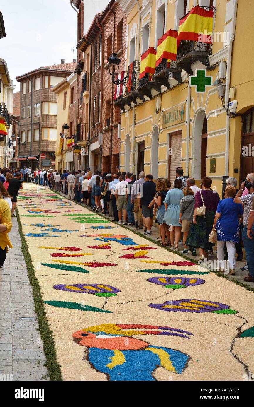 Street decorated with flowers at the Corpus Christi festival Stock