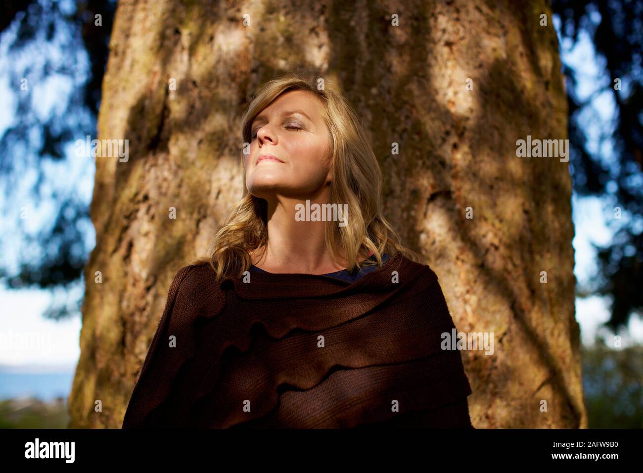 Portrait serene woman with eyes closed standing at sunny tree trunk Stock Photo