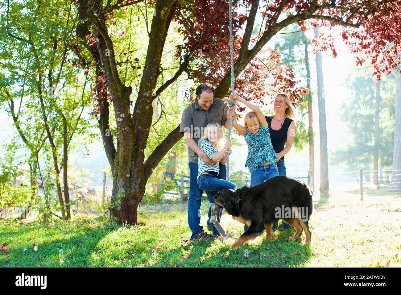 Happy family with dog playing on rope swing in sunny autumn park Stock Photo