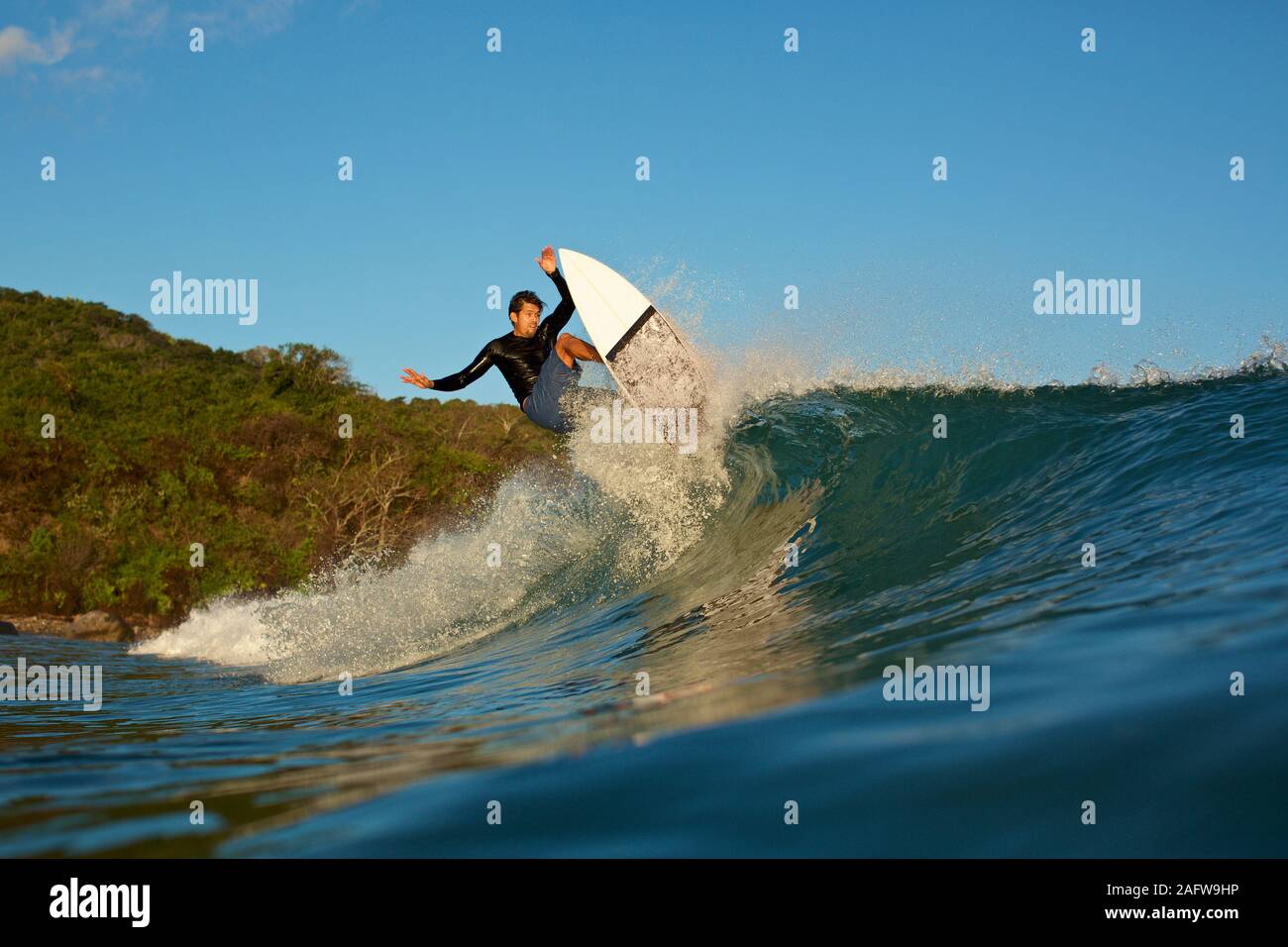 Male surfer riding ocean wave Stock Photo - Alamy