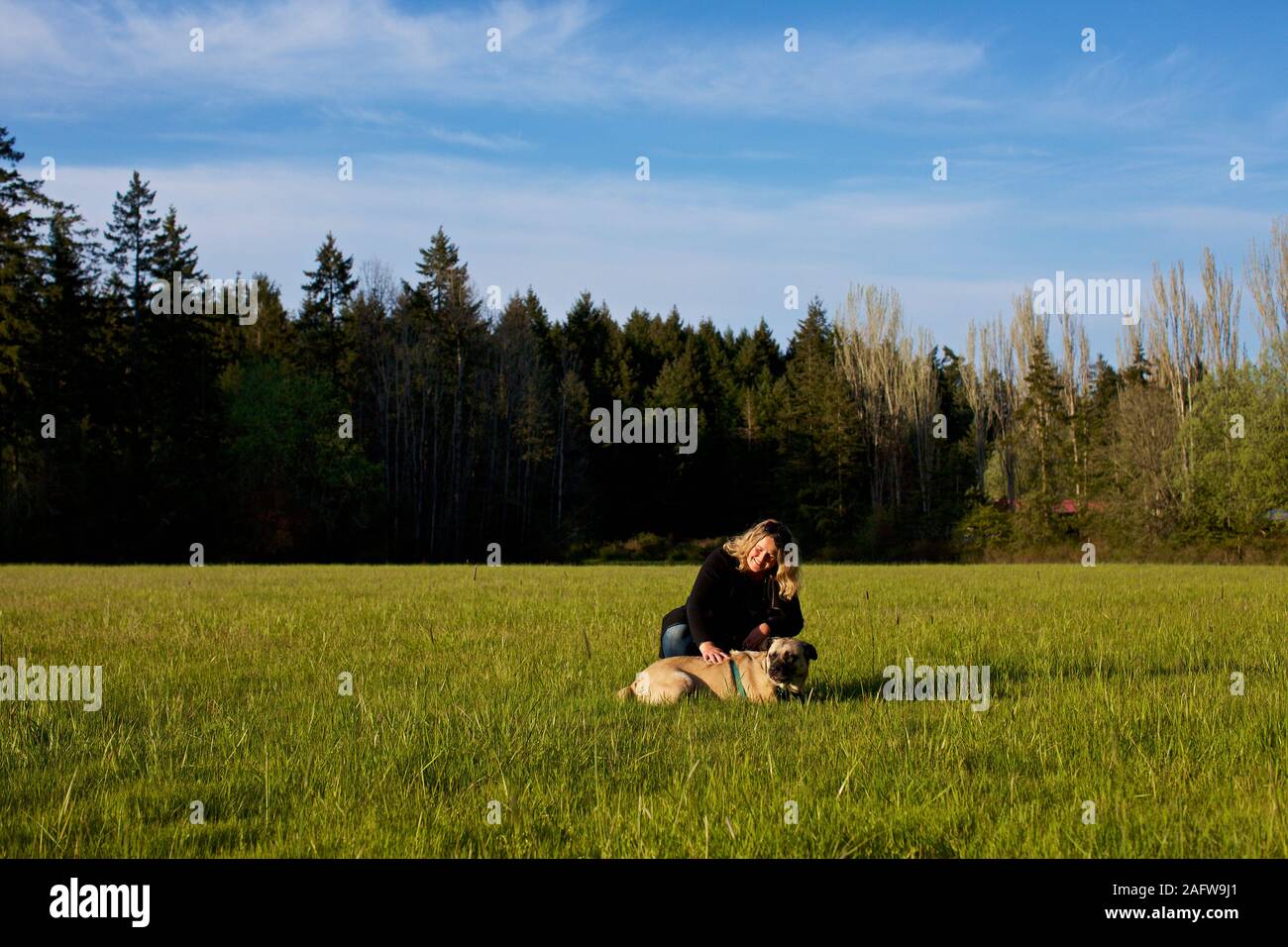 Woman with dog in sunny, rural field Stock Photo