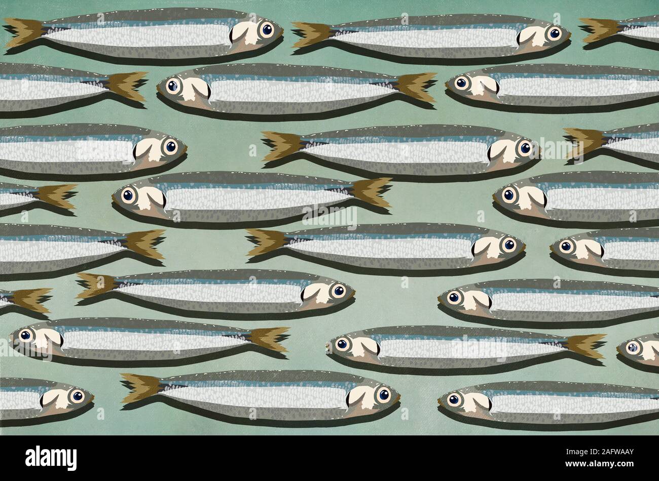 Fish sardines illustration hires stock photography and images Alamy