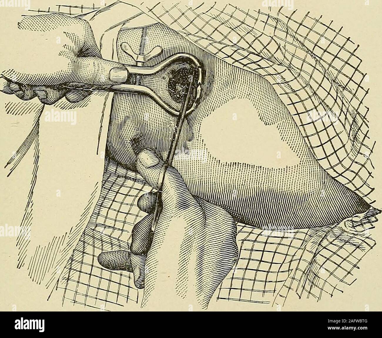 Tabiatda Kama Sutra porno