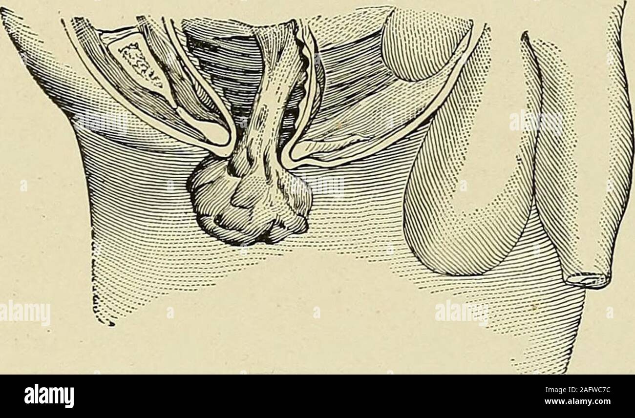 Rus onalar bilan jinsiy aloqa