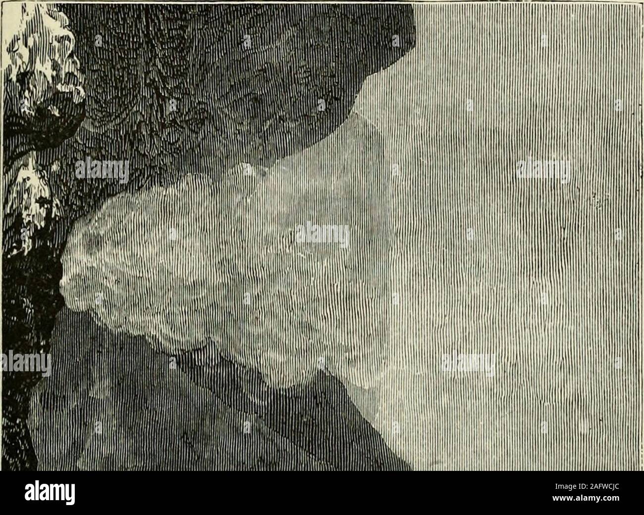 The Andes And The Amazon Bor Across The Continent Of South America N Angle Of About 35 At Ten Oclockwe Reached The Brim Of The Crater And The Great Gulf Burstsuddenly