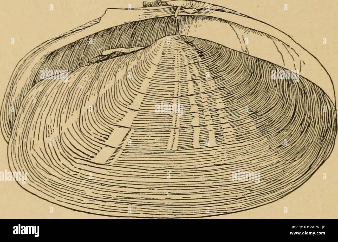 Tric familiar hires stock photography and images Alamy