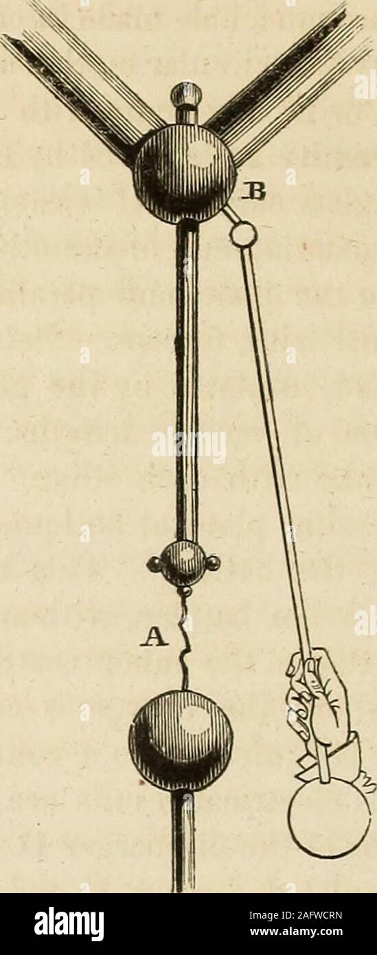 . Transactions of the American Philosophical Society. with glass handles, to bein contact with the insulated forceps F, and then approximating theother knob to the prime conductor B, the charge of the battery willpass through the wire W, as it cannot descend by the glass column,nor reach the operator through the glass handles. These should belonger than represented in the cut. LONG ZIGZAG OR ERRATIC SPARK, CONTRASTED WITH THE SHORT STRAIGHT SPARK. The cause of this difference between the lengths of the two electricities, we have nomeans of explaining.—Tliompsoris work on Heat and Electricity. Stock Photo