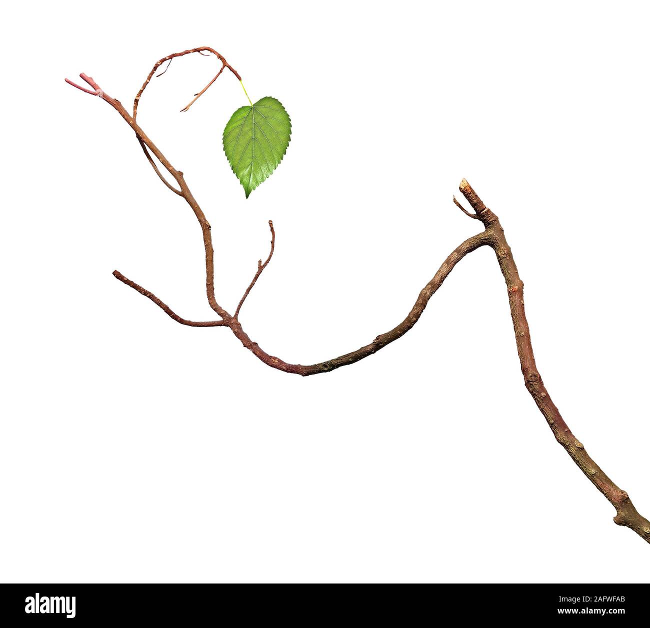 Aw10 hi-res stock photography and images - Alamy