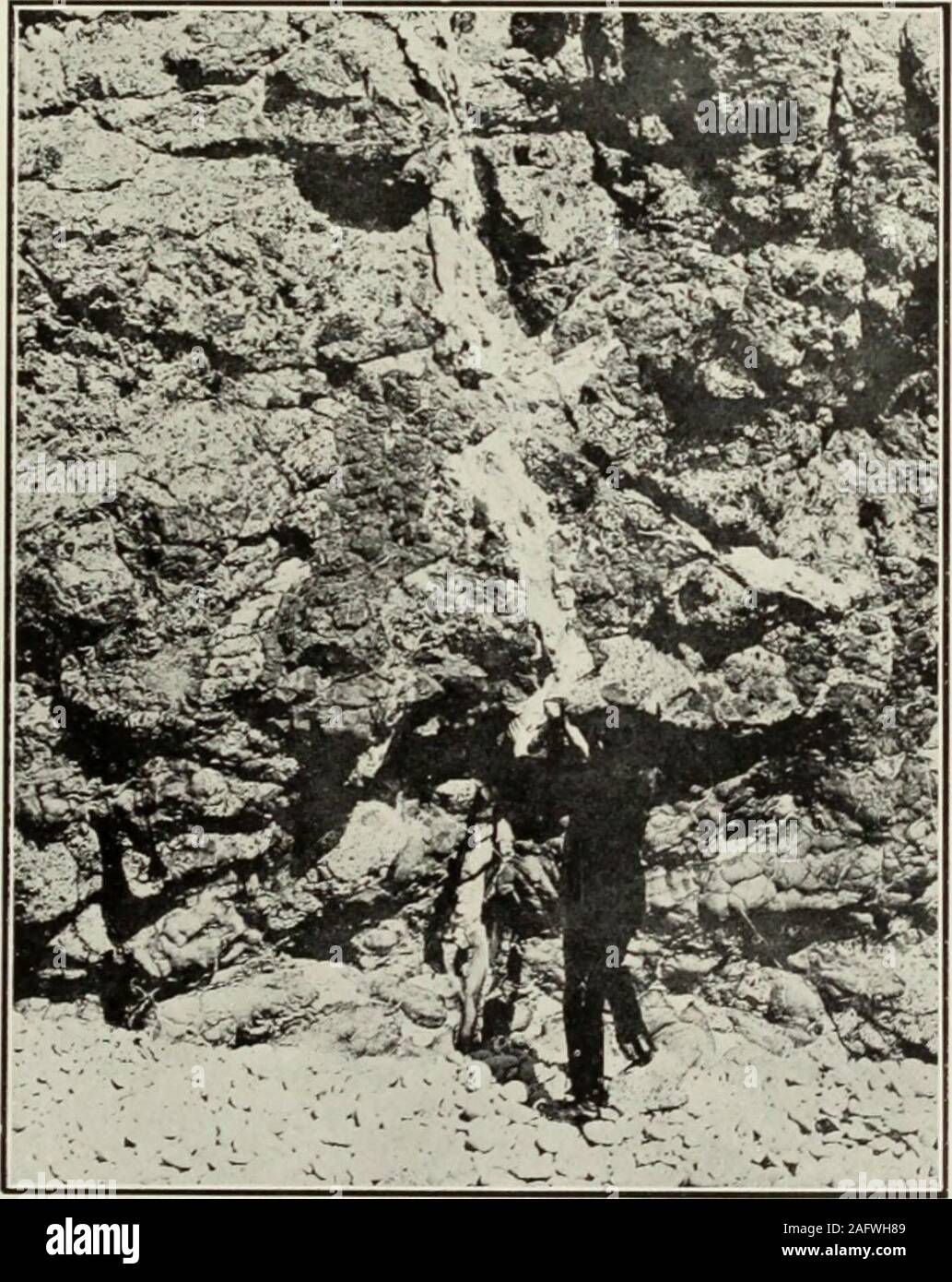 . The geology of the Oamaru district, North Otago (Eastern Otago division). James Park, plmtn.]A. FOSSILIFKKOCS LiMESTOXK VkIX IX r.Cini.rriC J{ni;CCIA, SKAU HltKAKWATKH, Oamaiu.. A. C. Giffori/, /i/mto.] B. FOSSILIFKHOLS LiMESTONE Veix IX TaCHYLITIC Breccia, near Breakwatkr, Oamaru. Geol. Bull. No. 20. [7o face p(ige 76. Page Page 77 Glauconitic Sandst one—ro /(/ / n iied. 77 Upper Tari;et Gully Sections 82 78 Section on East Side of Target (iully 82 78 Section across Target (Jully above 79 Town Belt 82 79 Section South of Duntroon.. 83 80 Section at Otiake 83 81 Section on Left Bank of Wai Stock Photo