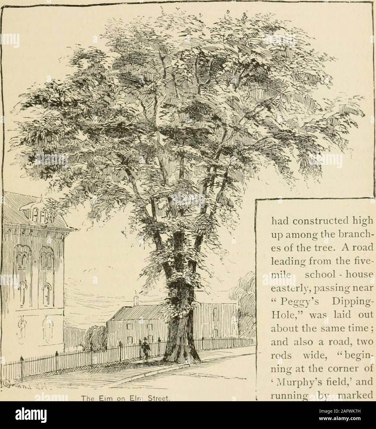 . King's handbook of Springfield, Massachusetts : a series of monographs, historical and descriptive. traightened, leaving thehouses standing between the old road and the new; but the old houses havesuccumbed to time, and new and comely ones have been erected in theirplaces. It is said that Charles Brewer in early days brought from ThompsonsDingle several maple-trees which he set out by the wayside; giving the oldpath the name of Maple Street, which adheres to it and to several extensionsof the same in later years. Other roads were afterwards located: the roadover Long Hill to Pecowsic Brook w Stock Photo