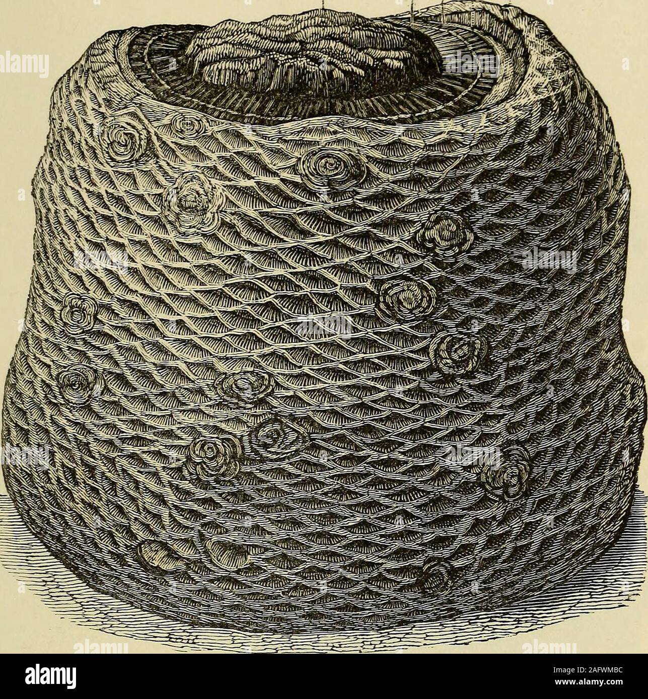 . Geology and mineralogy considered with reference to natural theology. IB C ZD Transverse section of the Trunk of Cycadites MegalophyllusfromI. Portland. Scale . PL 61, Fig. 1 A. Ecl) C Jp. Trunk of Cycadites Microphyllus with buds in the axilla of the Petiolesfrom I. Portland. Scale . Fig. 3. --^.-jC- -?,-?-- szp???- &gt;*•?• . Stock Photo