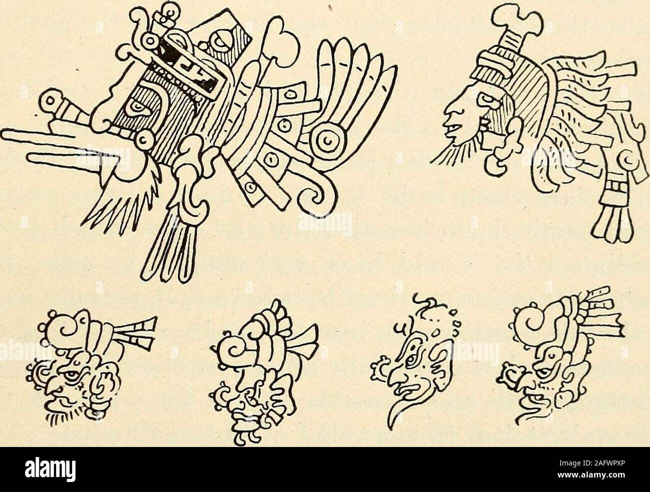 . Mexican and Central American antiquities, calendar systems, and history;. b No criavan barbas, y decian que les quemavan los rostros sus madres eon pafioscalientes, siendo ninos, porque no les creciesen (Landa). SKLKR] THE VASE OF CHAMA 659 The sun god is represented in Maya manuscripts as bearded, and so,frequently, in Mexican picture writings, is the god Quetzalcoatl, who.although usually called the wind god, can not deny kinship with thesun god of the Maya tribes. The Mayas styled the sunbeams u mex kin ( beard of the sun ).I give in a. figure 134, two pictures of Quetzalcoatl, and below Stock Photo