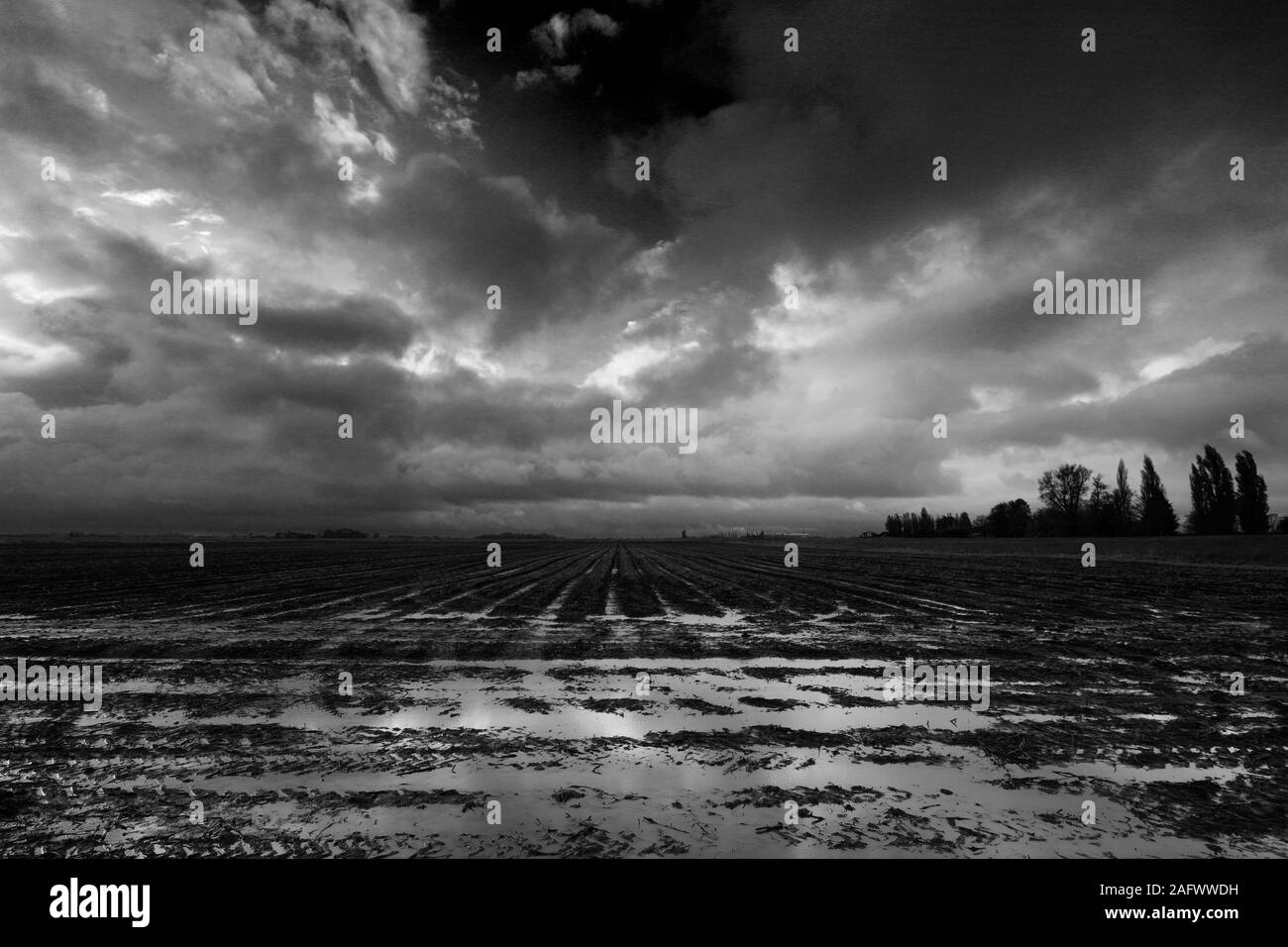 Fen soil Black and White Stock Photos & Images - Alamy