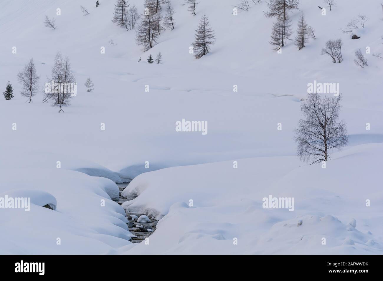 Close shot of a stream covered in snow. Kaunertal valley in Tyrol, in the Austrian Alps. Massive snow falls are covering this area in winter. Stock Photo