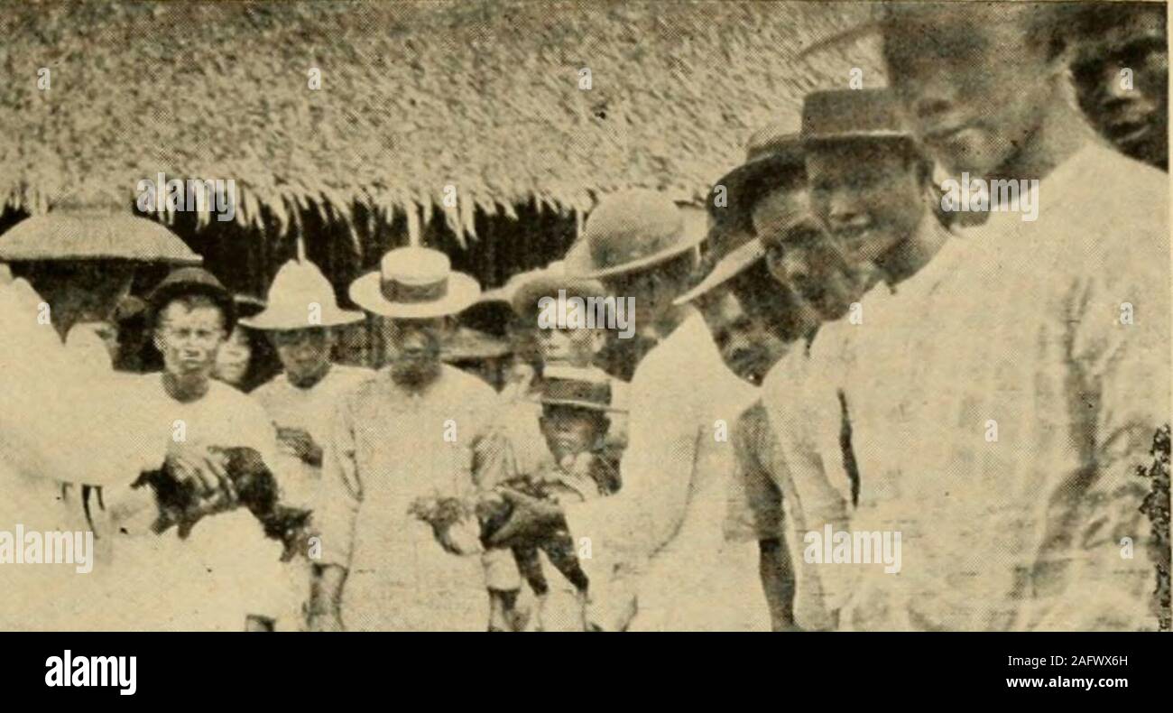 . The Pacific islanders, from savages to saints; chapters from the life ...
