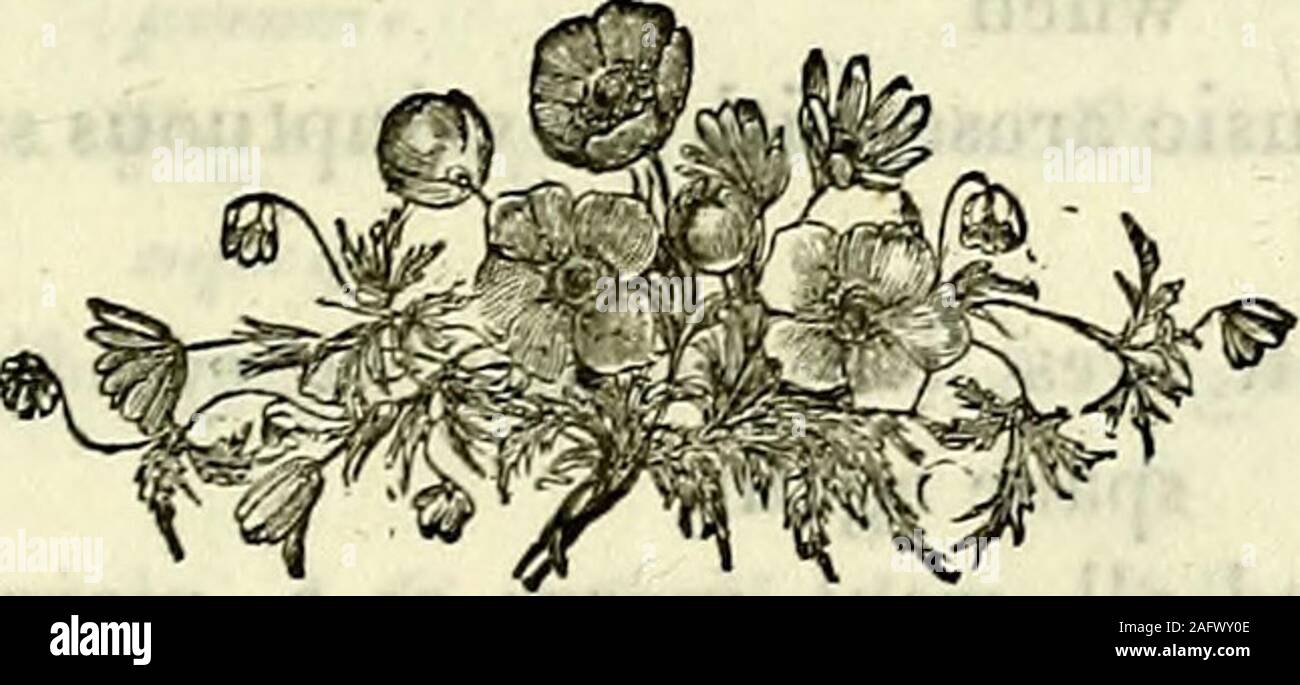Booksubjectenglishpoetry High Resolution Stock Photography And Images Alamy Booksubjectenglishpoetry High Resolution Stock Photography And Images Alamy