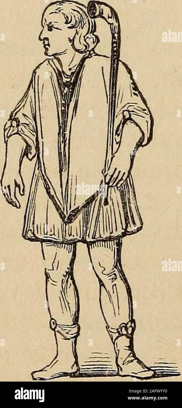 . The illustrated companion to the Latin dictionary and Greek lexicon ...