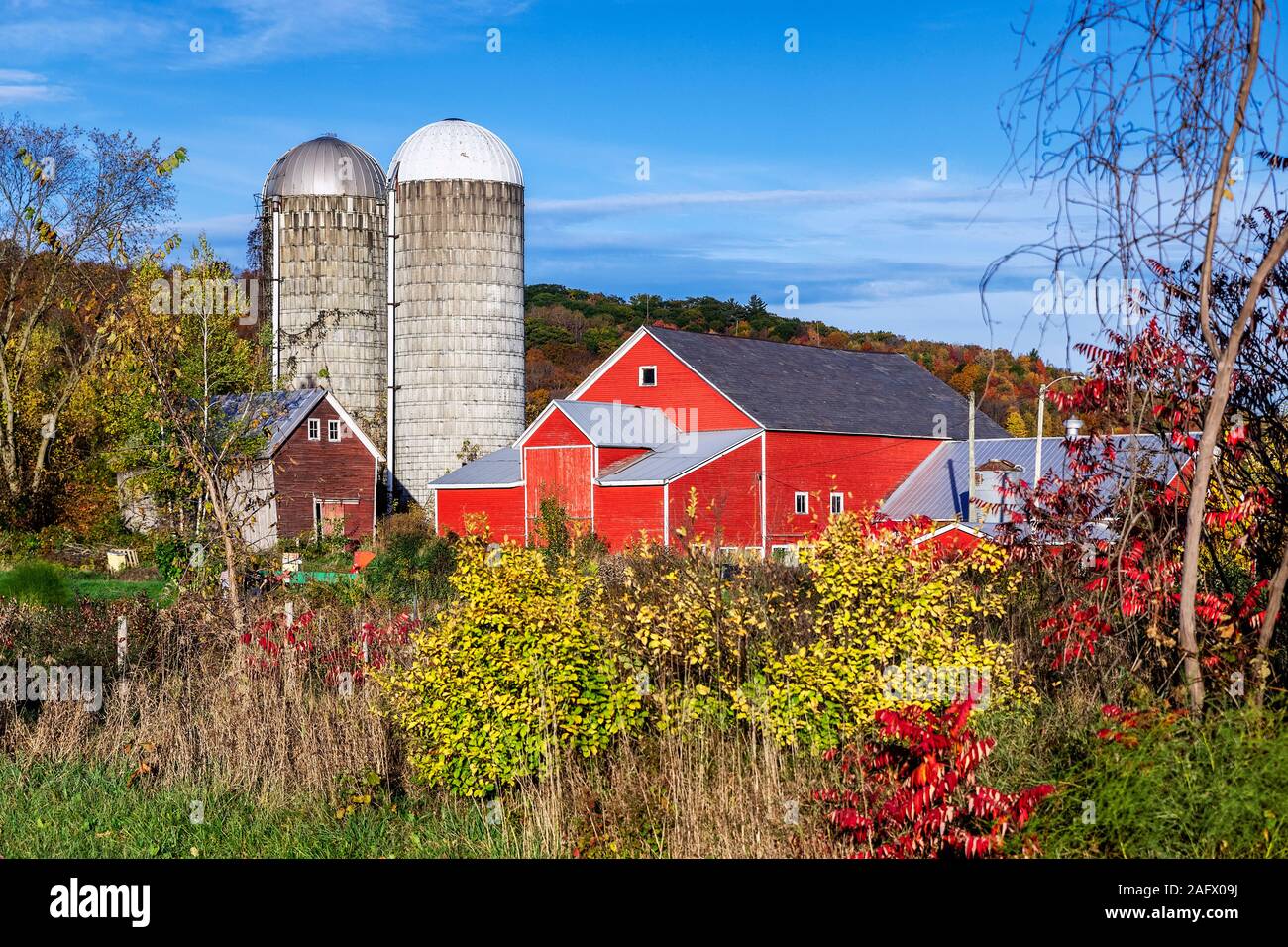 Colorful autumn farm, Jeffersonville, Vermont, USA. Stock Photo