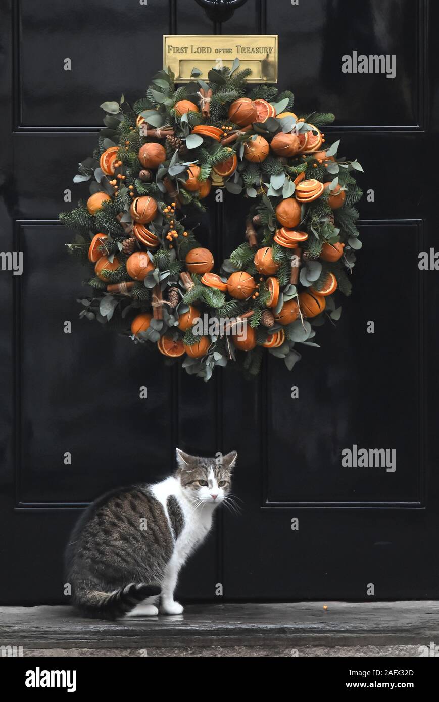 Larry the cat waits to be let into 10 Downing Street, London. PA Photo. Picture date: Tuesday December 17, 2019. Photo credit should read: Kirsty O'Connor/PA Wire Stock Photo