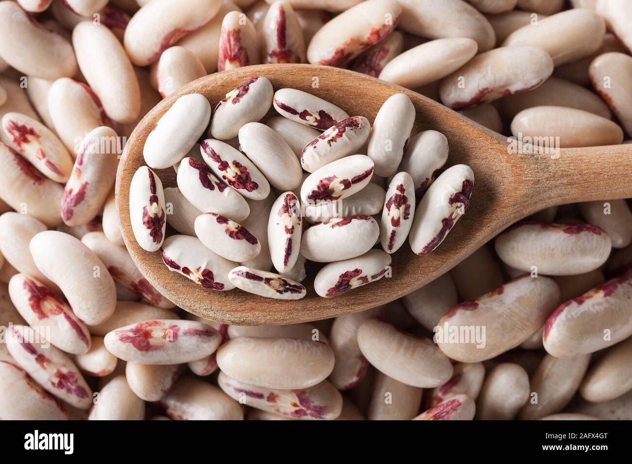 Dry beans in the wooden spoon over soaked beans.Organic beans background..Healthy food concept.Selective focus,horizontal. Stock Photo