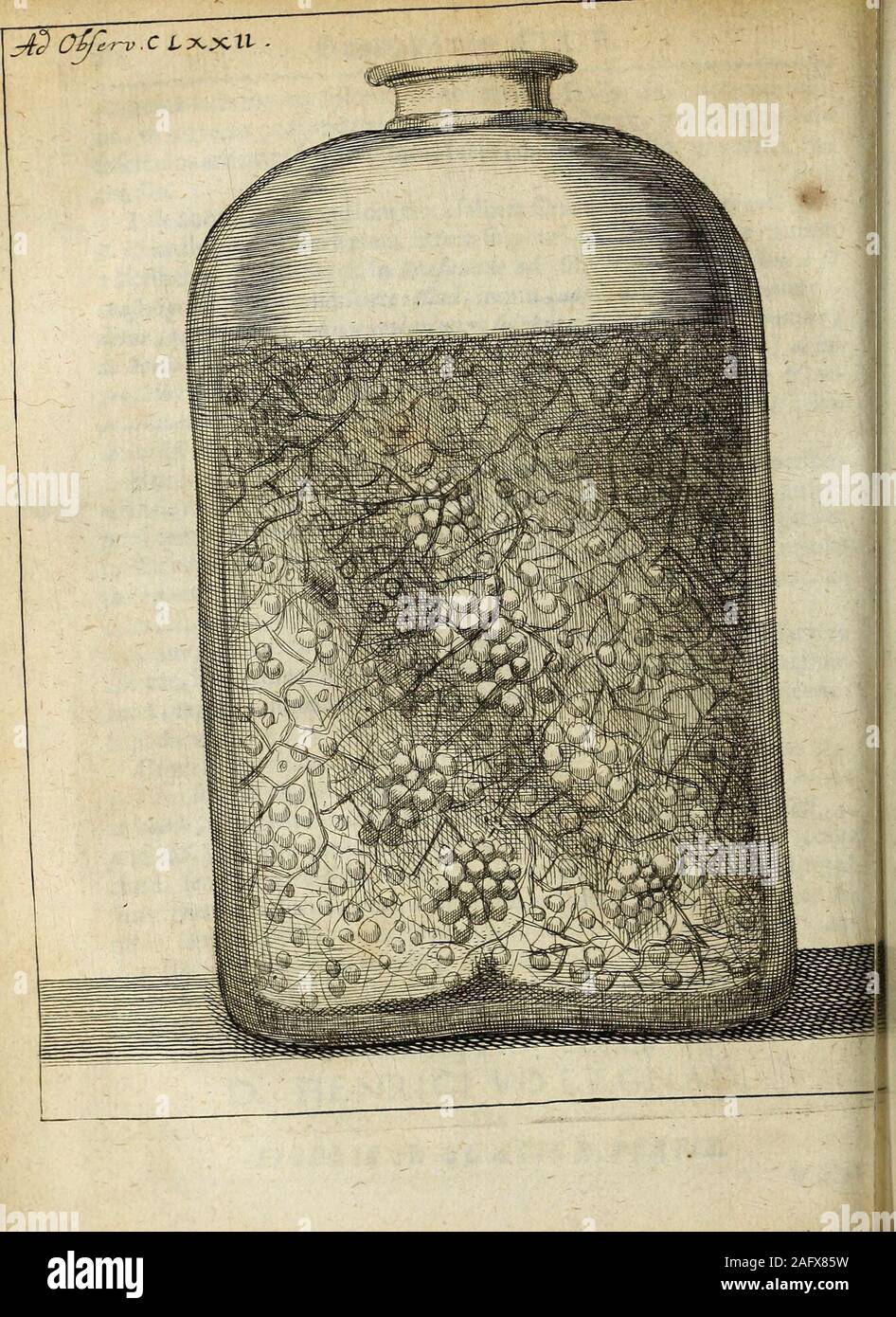 . Miscellanea Curiosa Medico-Physica Academiae Naturae Curiosorum. DeFisuris in glacie r e ?e r tis. 231 VArias fepdfiguras mira elegantra herbas aut eorum folia, fru£i-oes, arborumve rarnos exprimentes, non folum in {lagnanti-bus aquis, aut nvulorum rluminutiiquequandoque ripis, fed &fen-eftrarum vitris uvidis&gt;arigido hiemis- frigore expreflas repe»riti, res quidem eft,quam & pueri norunt , fed tamen quam fortaflis VI-ri fapientiores non immerito fpecuiati queant; quandoquidem non nu-donaturx lufu id accidere, videri poteft , iinmo verb fe;:as lubeffe cau-fas, quas natura poiydaedala , in Stock Photo