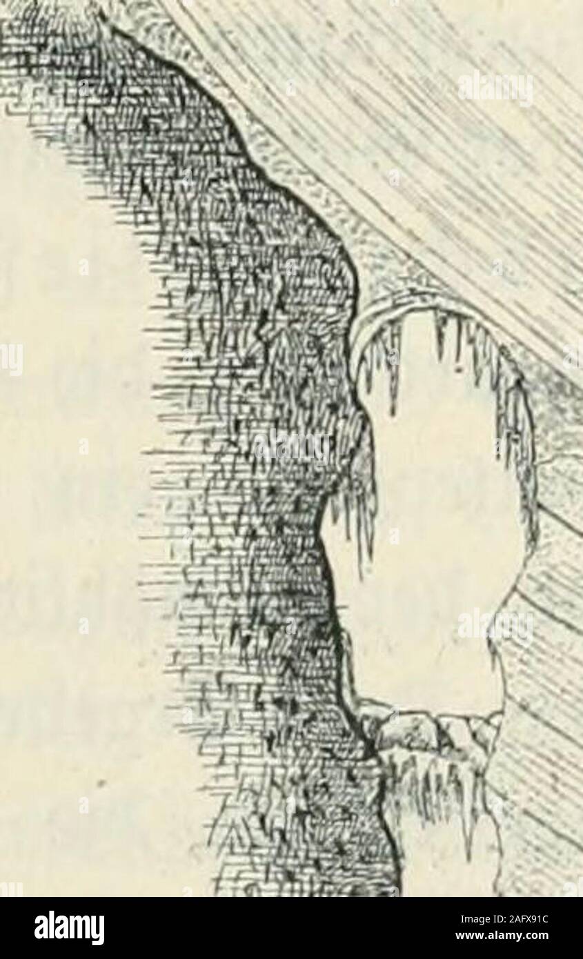 . Die Gefahren der Alpen; Erfahrungen und Ratschläge. (agen am barten @i§ ift jebenfall ein beffere§£o§, al§ (angfame§ Quö^wi^^egß^en burct) junger unb ^älte imeifigen @rab. 3(m bitterften ift e§, rcenn jiuar eine t)i(freid)e ^anbbereit märe, fid) aber für bie Diettung al§ ^u fd)raad) ermeift. Stuf ben ®Ietfd)ern unferer Stipentreten mit großer S^tegetmä^igteitfülgenbe 3(rten oon ©palten auf:®ie Sfianbfluft, Querfpalten,^ a n b f p a 11 e n unb S ä n g §»fpalten. m§ ,/:HanbfIuft (oergt. mb.)be§eid)net man bie meift gro^e©palte, roeli^e bort erftel)t, roo ta§flad)mutbenförmige ^-irnbeden gegenb Stock Photo