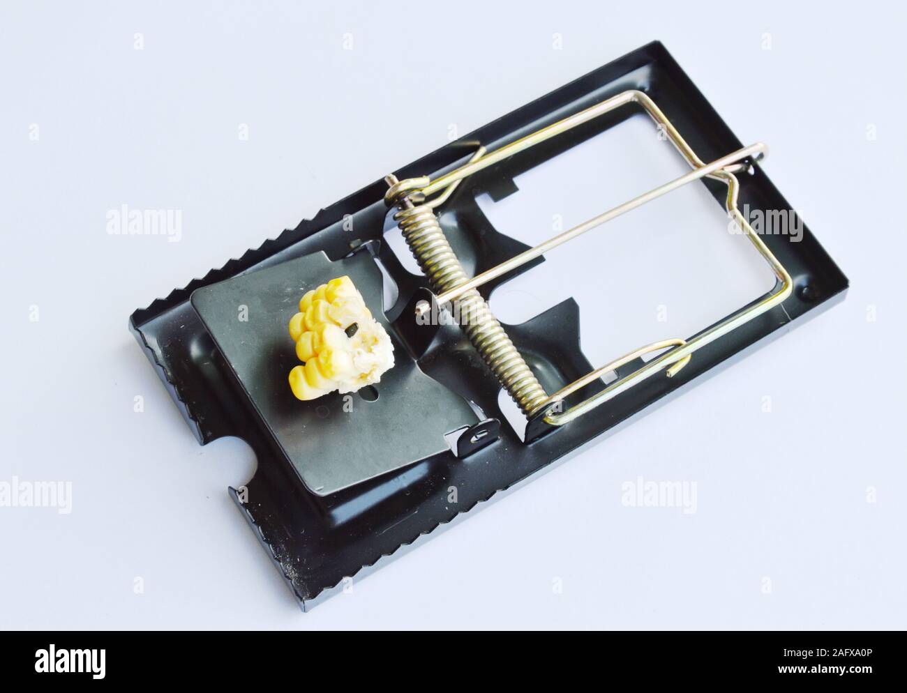 black iron rat trap bait by corn seed on white background Stock Photo