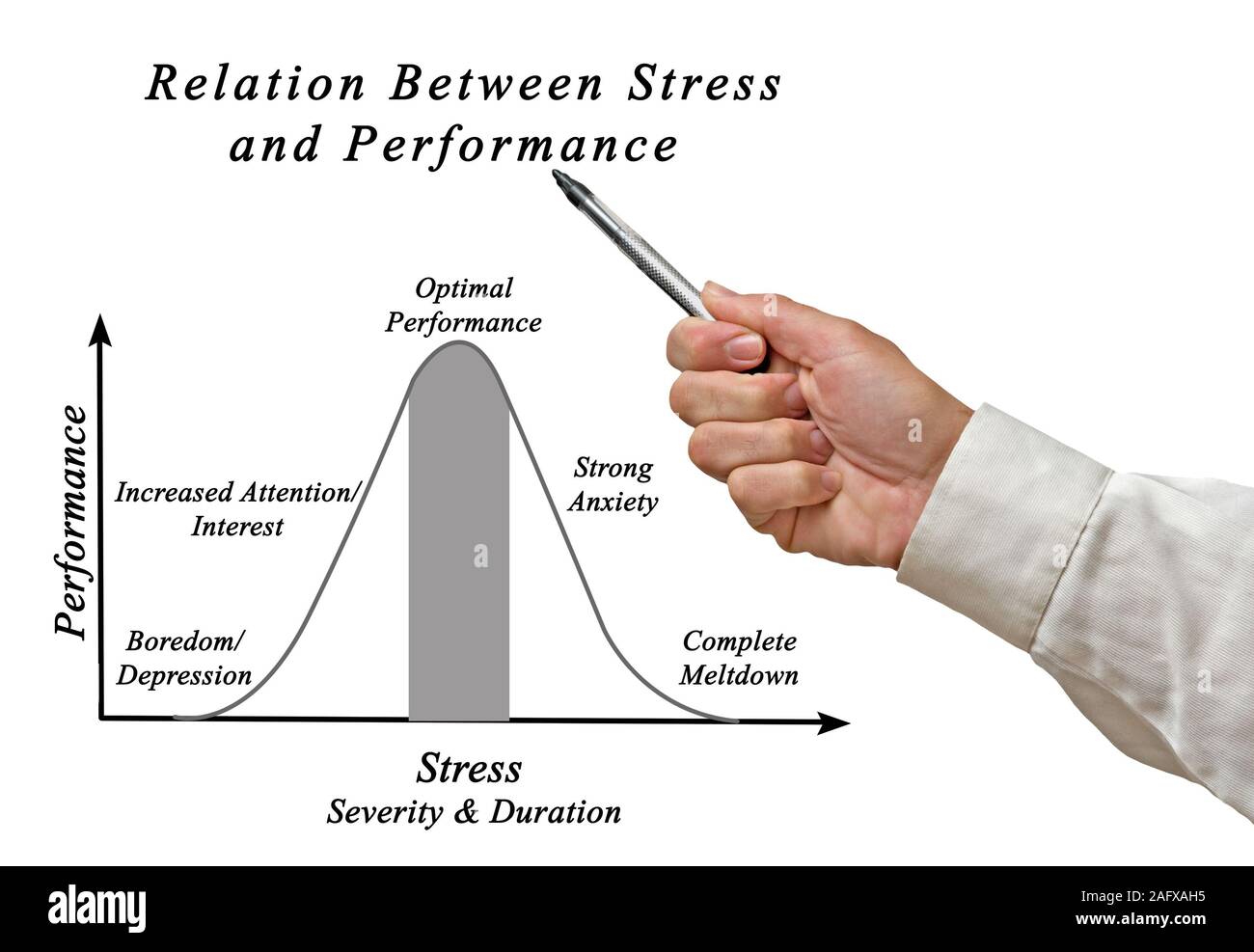 Rafael company. джон холландер. теренс кроуфорд индонго.