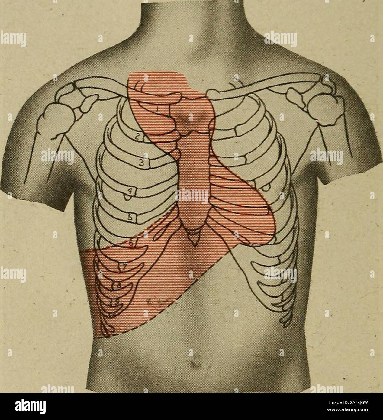 . Medical diagnosis for the student and practitioner. collapse
