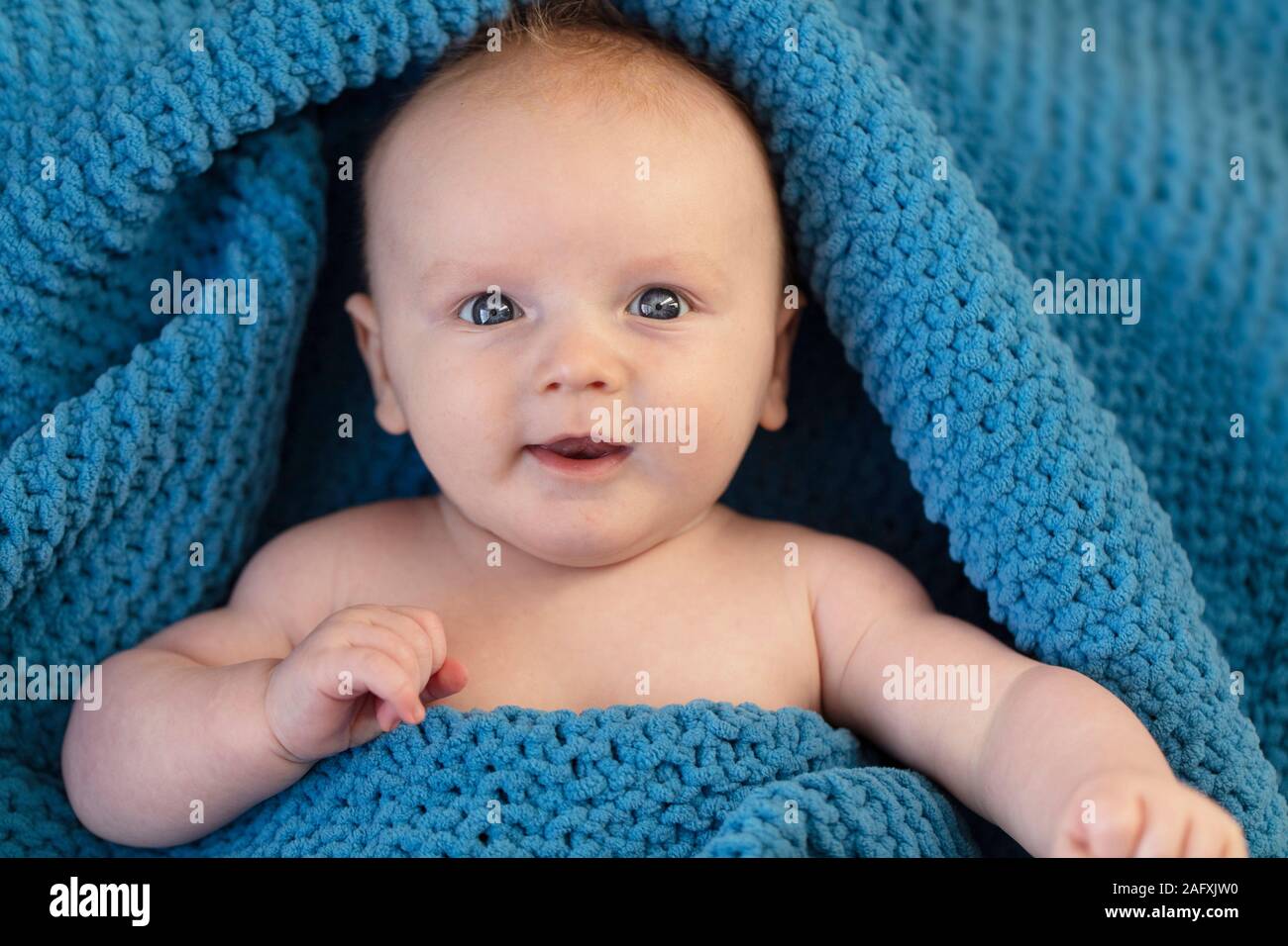 A cute baby boy wrapped in a cosy blue blanket looking at the camera